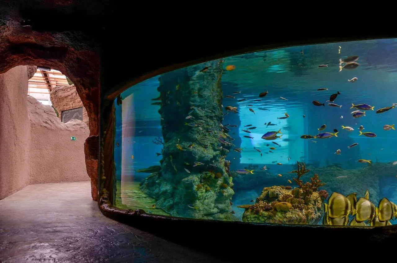 ****  Art Hotel Wrocław Polen